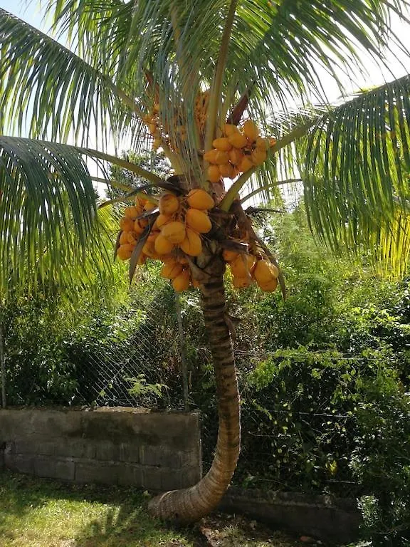 Villa Ticitron Sainte-Anne 0*,  Guadeloupe