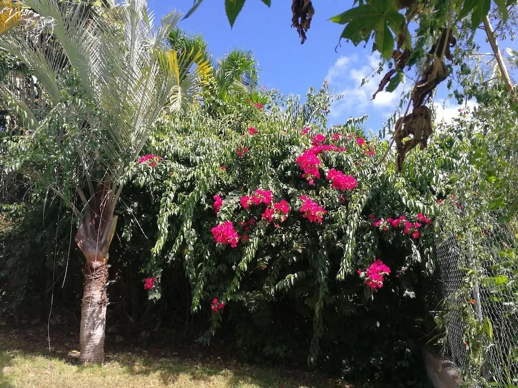 Villa Ticitron Sainte-Anne  Sainte-Anne (Grande-Terre)