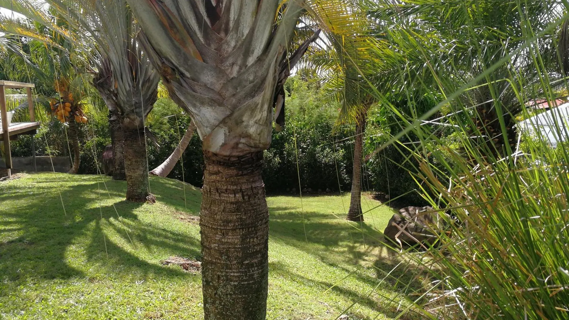 Villa Ticitron Sainte-Anne