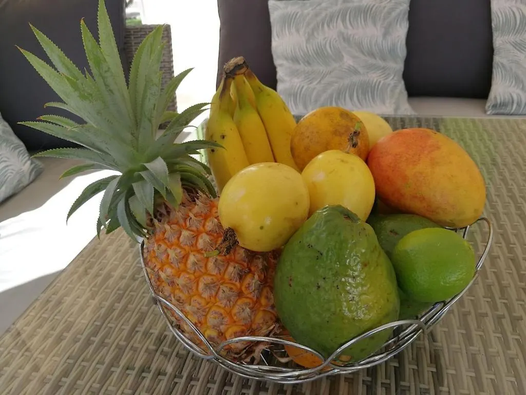 Villa Ticitron Sainte-Anne  Guadeloupe